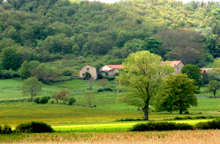Ambiance